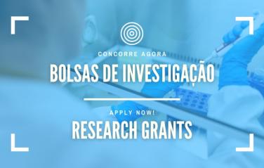 Call for Proposals for 6 Doctoral Research Fellowships