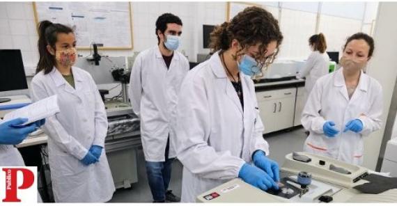 Professora Rita Branquinho é foco em notícia no jornal PÚBLICO em que abordam o regresso às aulas nos laboratórios com destaque para o CENIMAT|i3N, no campus da Faculdade de Ciências e Tecnologia da Universidade NOVA de Lisboa. PÚBLICO de 25 de maio de 2020