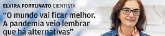 Entrevista do Jornal de Negócios à Professora Elvira Fortunato