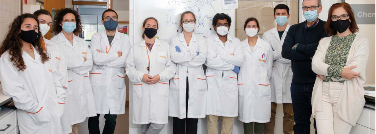 On the afternoon of this interview, the scientist posed next to her husband, Professor Rodrigo Martins, and several members of the team she leads at CENIMAT/i3N. 