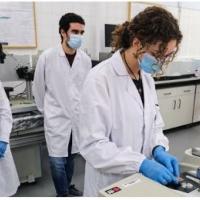 Professora Rita Branquinho é foco em notícia no jornal PÚBLICO em que abordam o regresso às aulas nos laboratórios com destaque para o CENIMAT|i3N, no campus da Faculdade de Ciências e Tecnologia da Universidade NOVA de Lisboa. PÚBLICO de 25 de maio de 2020