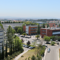Rodrigo Martins and Elvira Fortunato on the list of the most cited scientists worldwide